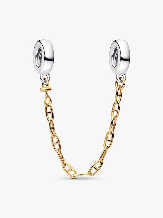 Pandora Charm από Επιχρυσωμένο Ασήμι Pandora Charm από Επιχρυσωμένο Ασήμι