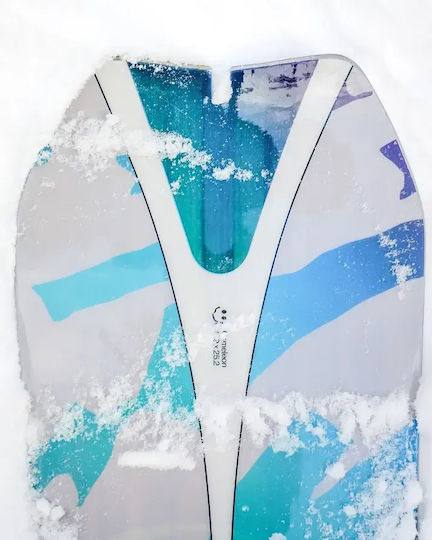Bataleon Snowboard