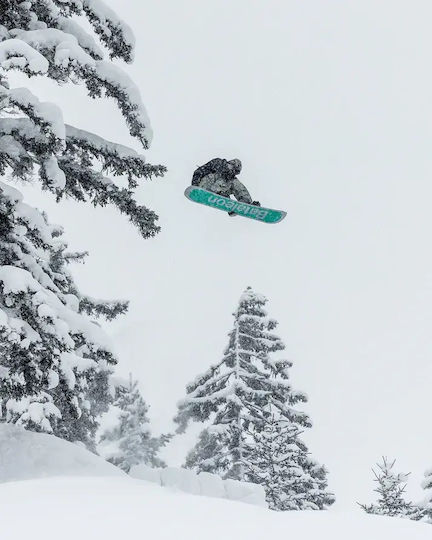 Bataleon Σανίδα Snowboard