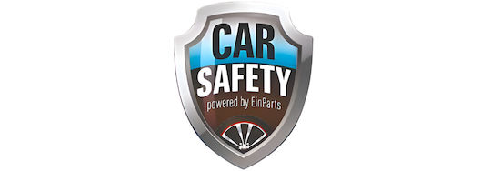 Carsafety Чистачка за Автомобилни Стъкла с Дръжка