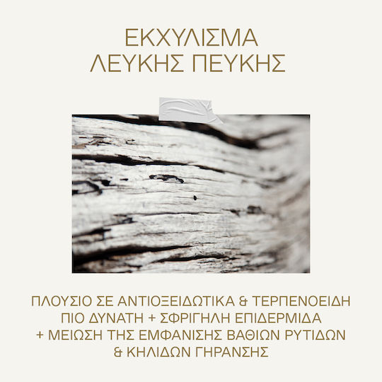 Korres White Pine Κρέμα Ματιών & Χειλιών για Αντιγήρανση , Ενυδάτωση & Μαύροι Κύκλοι 15ml