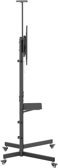 Equip 650636 TV-Halterung Boden bis 70kg Schwarze