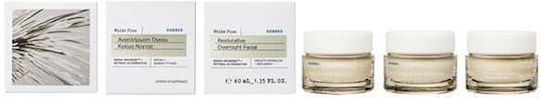 Korres White Pine Αντιγηραντική Κρέμα Προσώπου Νυκτός με Πεπτίδια 40ml