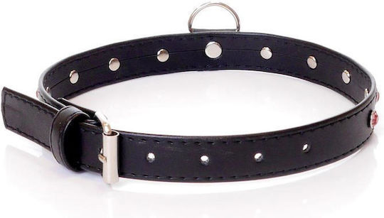 Fetish Addict Halsband in Schwarz Farbe