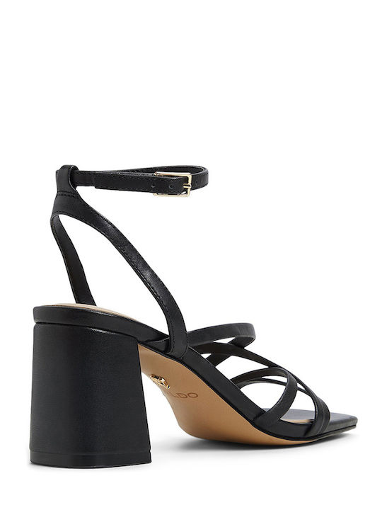 Aldo