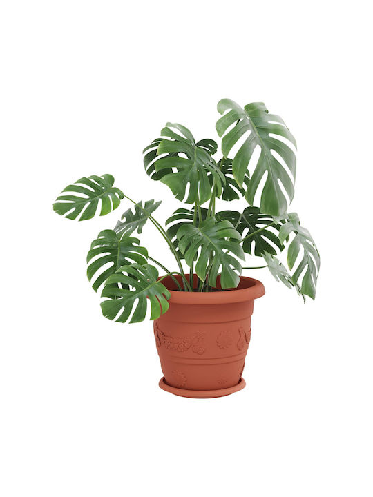 vidaXL Set of 24 Plastic Flower Pots Terracotta