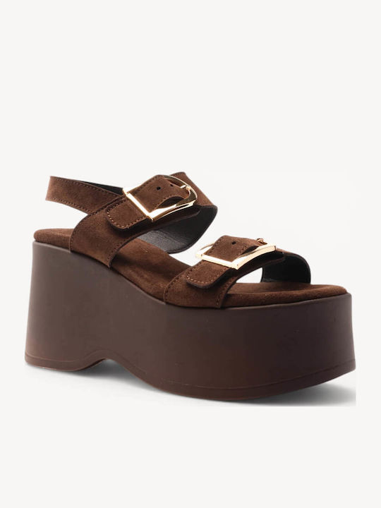 Ligglo C263