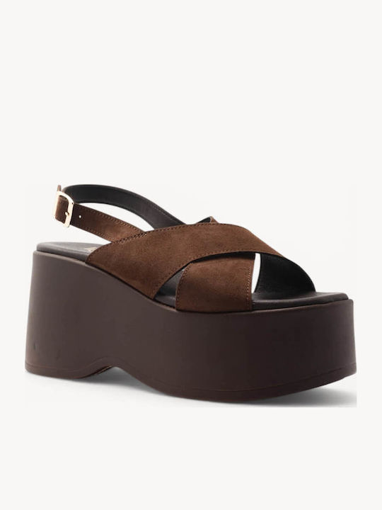 Ligglo C262
