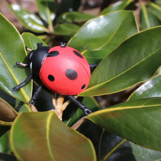 Safari Ltd Life Cycle of a Ladybug Εκπαιδευτικό Παιχνίδι Γνώσεων για 4+ Ετών