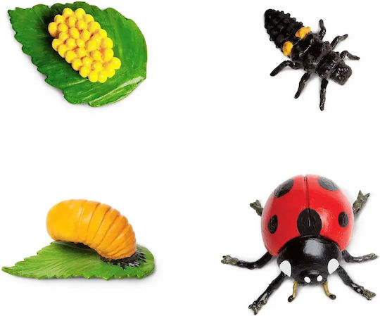 Safari Ltd Life Cycle of a Ladybug Εκπαιδευτικό Παιχνίδι Γνώσεων για 4+ Ετών