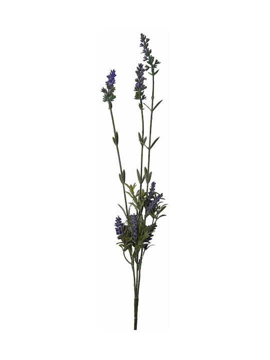 Oem Λεβαντα Κλαδι 66cm