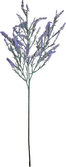 Oem Λεβαντα Κλαδι 73cm