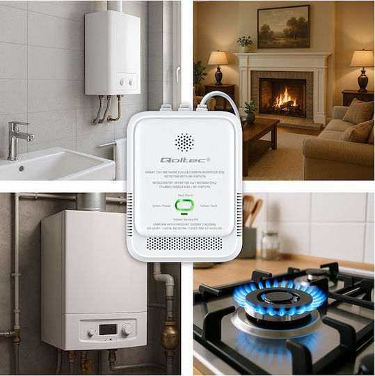 Natural Gas Carbon Monoxide Leak Sensor 2 In 1 Certified Qoltec Tuya Wi-fi 85db Alarm Led