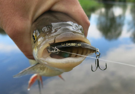 Lucky John Chubby 40f – 4g 019