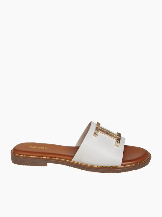 Adam's Shoes