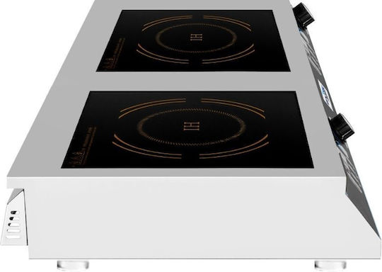 Dynamic Electric Inductive Burner 3.5kW