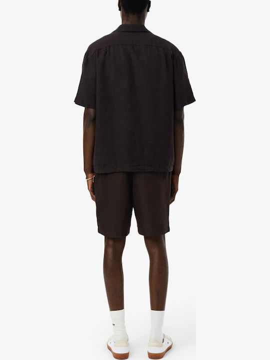 Men's Bermuda Brown