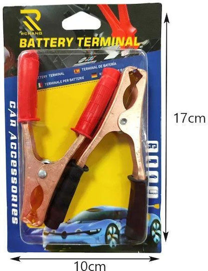Rchang Satz Krokodilklemmen Batterieanschluss