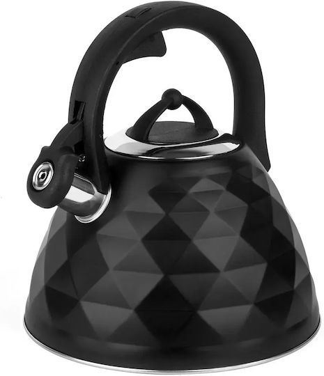 Tadar Ceainic Negru 3000ml