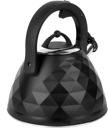 Tadar Ceainic Negru 3000ml