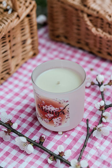 Duos Dei Aromatische Soja Kerzen im Gefäß Kirsche Duos Dei Aromatische Soja Kerzen im Gefäß Kirsche