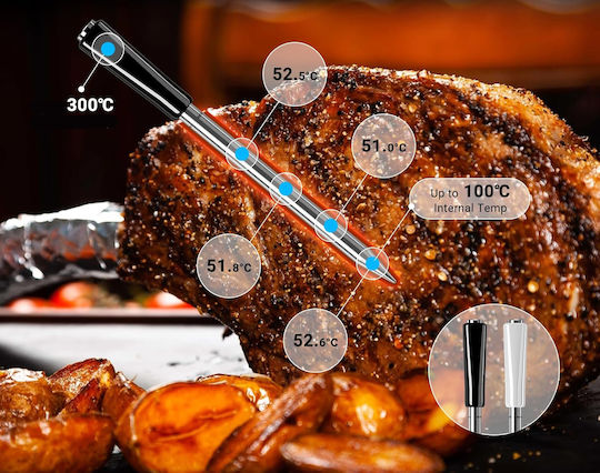Ασύρματο Ψηφιακό Θερμόμετρο BBQ με Ακίδα και Bluetooth