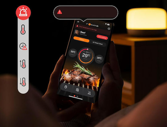 Ασύρματο Ψηφιακό Θερμόμετρο BBQ με Ακίδα και Bluetooth