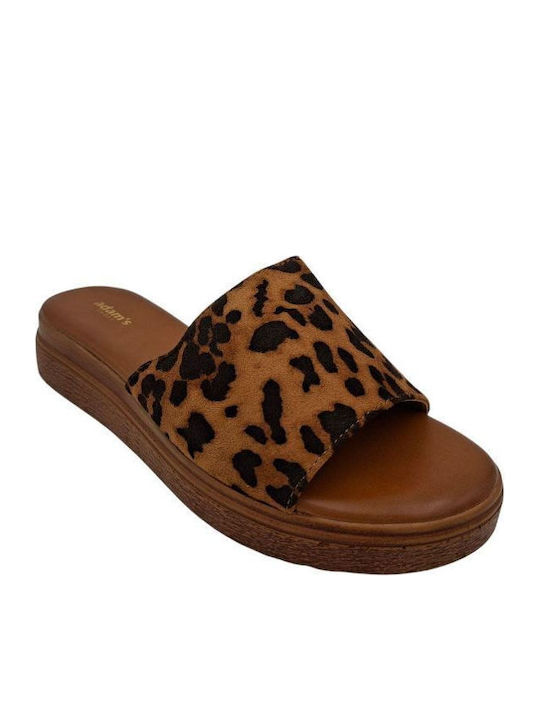 Adam's Shoes