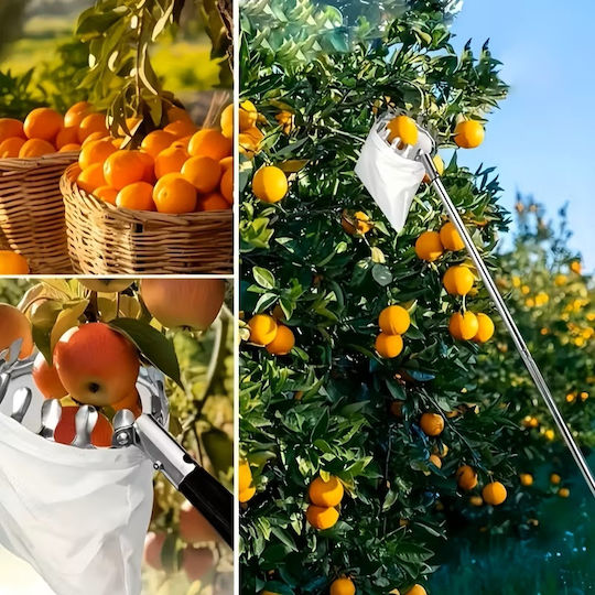 Telescopic Fruit Picker Zola 4 Interchangeable Heads 400 Cm Storage Bag Silver
