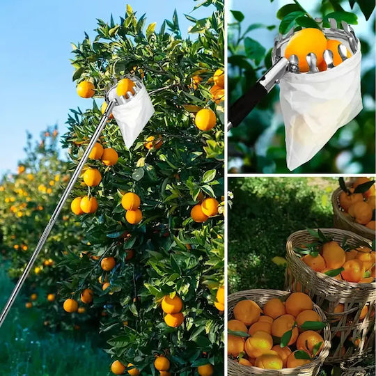 Telescopic Fruit Picker Zola 4 Interchangeable Heads 400 Cm Storage Bag Silver