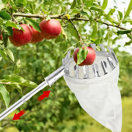 Telescopic Fruit Picker Zola 4 Interchangeable Heads 400 Cm Storage Bag Silver