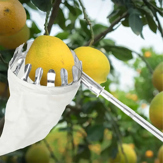 Telescopic Fruit Picker Zola 4 Interchangeable Heads 400 Cm Storage Bag Silver