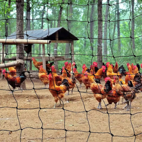 Plasă De Repelare Pentru Păsări Pisici Rozătoare 3x4m