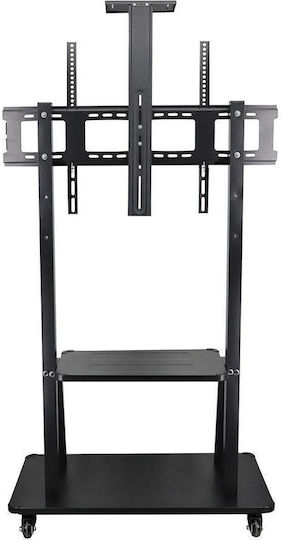Noozy 41067 TV Mount Floor