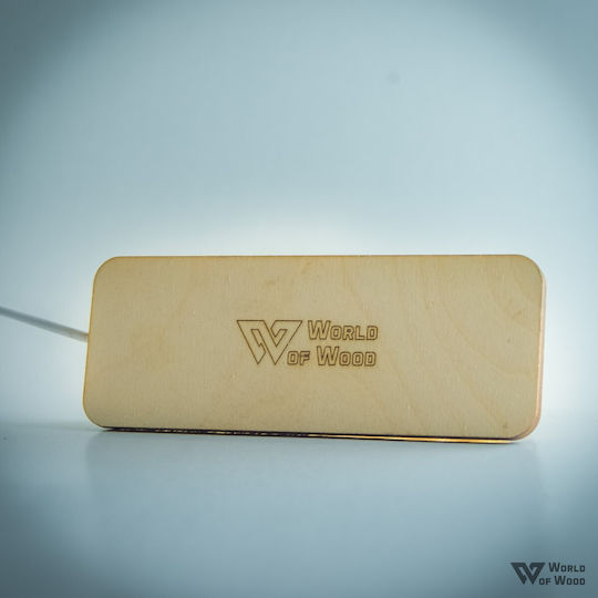 World of Wood Διακοσμητικό Φωτιστικό Batman LED Φιγούρα 20x15εκ.