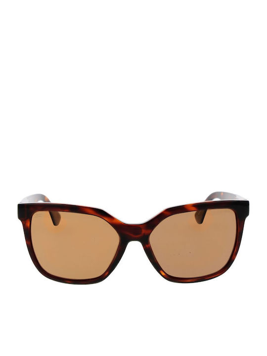 Serengeti Wakota Women's Sunglasses with Brown Tartaruga Plastic Frame and Brown Lens SS536004