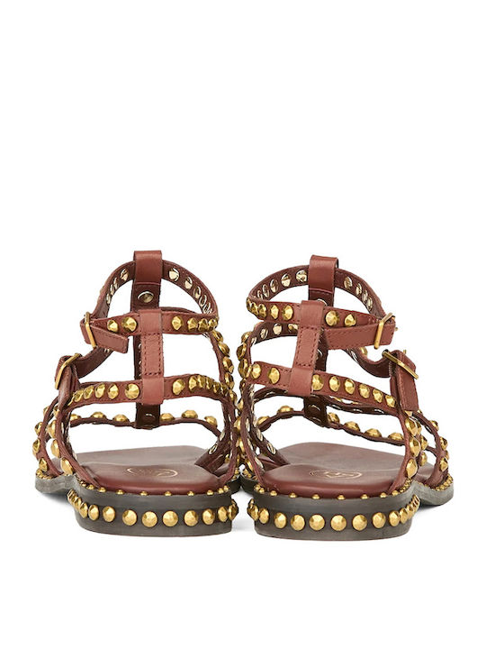 Precious03 Leather Women's Flat Sandals Gladiator Brown
