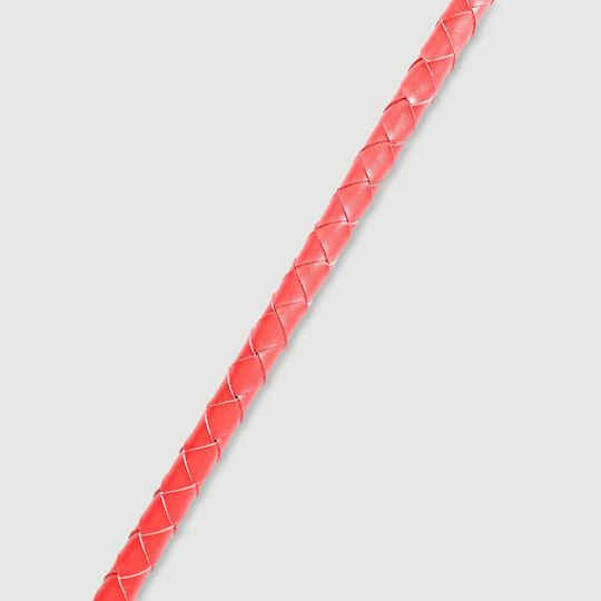 Shaft Paddle in Red Colour