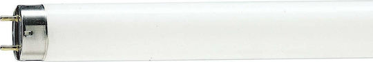Philips Λάμπα Φθορίου για Ντουί G13 με Σχήμα T8 30W
