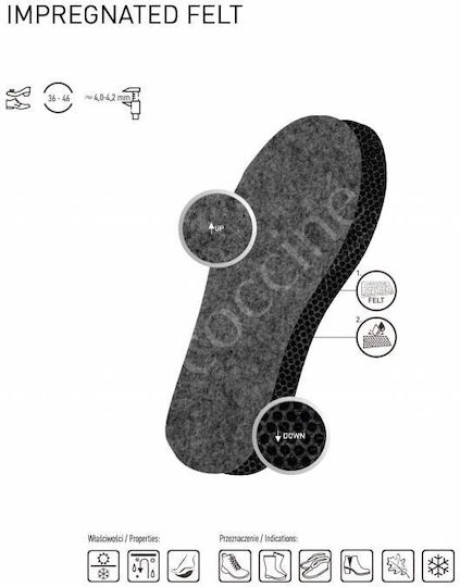 Coccine Anatomische Einlegesohlen für Schuhe 1032023/41 2 Stück
