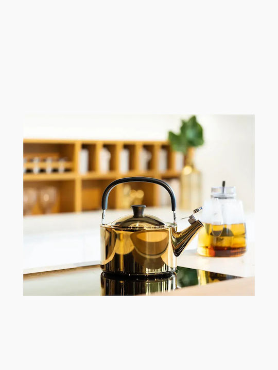 Vialli Design Stainless Steel Gray Boiler 1500ml