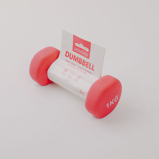 Βαράκι 1 x 1kg