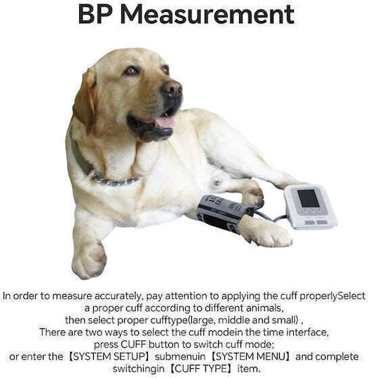 Veterinär Digital Blutdruckmessgerät Mit 2 Armmanschetten Incluse