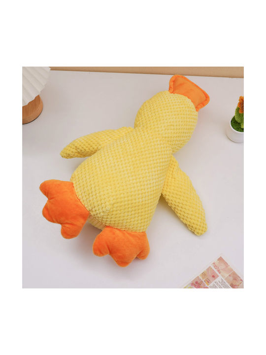 Toy