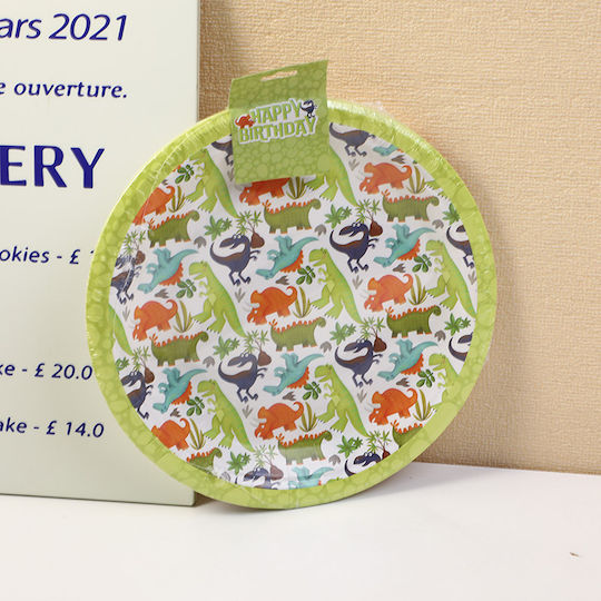 Plate for Party 12 Pieces