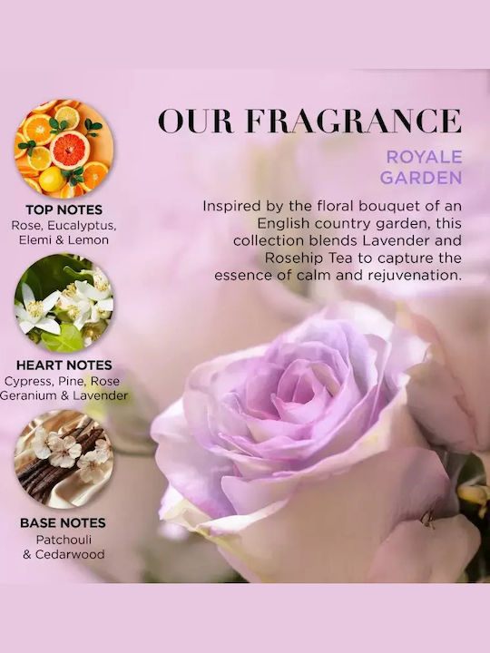 Baylis & Harding Royale Garden Lavender & Rose Hip Tea Body Hair Gift Set