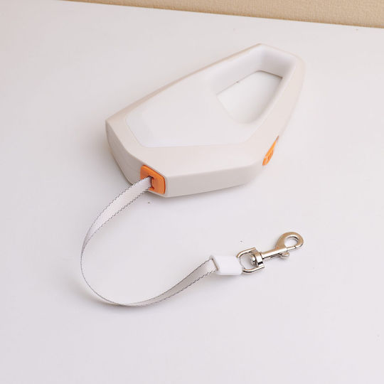 Foldable Dog Leash Lead Strap