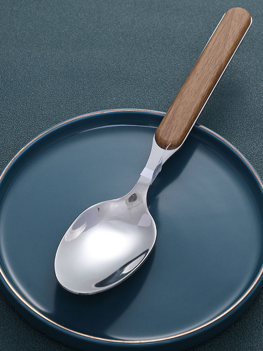 Silver Stainless Steel Spoon