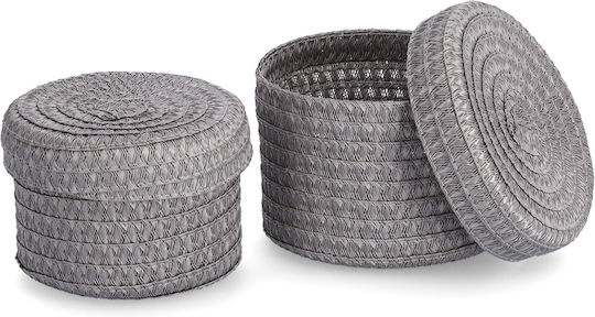 Plastic Storage Basket with Lid Gray 2 Pieces