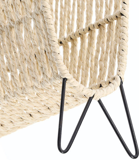 Metallic Black Magazine Rack 30x15x38cm